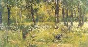 Ivan Shishkin Grassy Glades of the Forest china oil painting artist